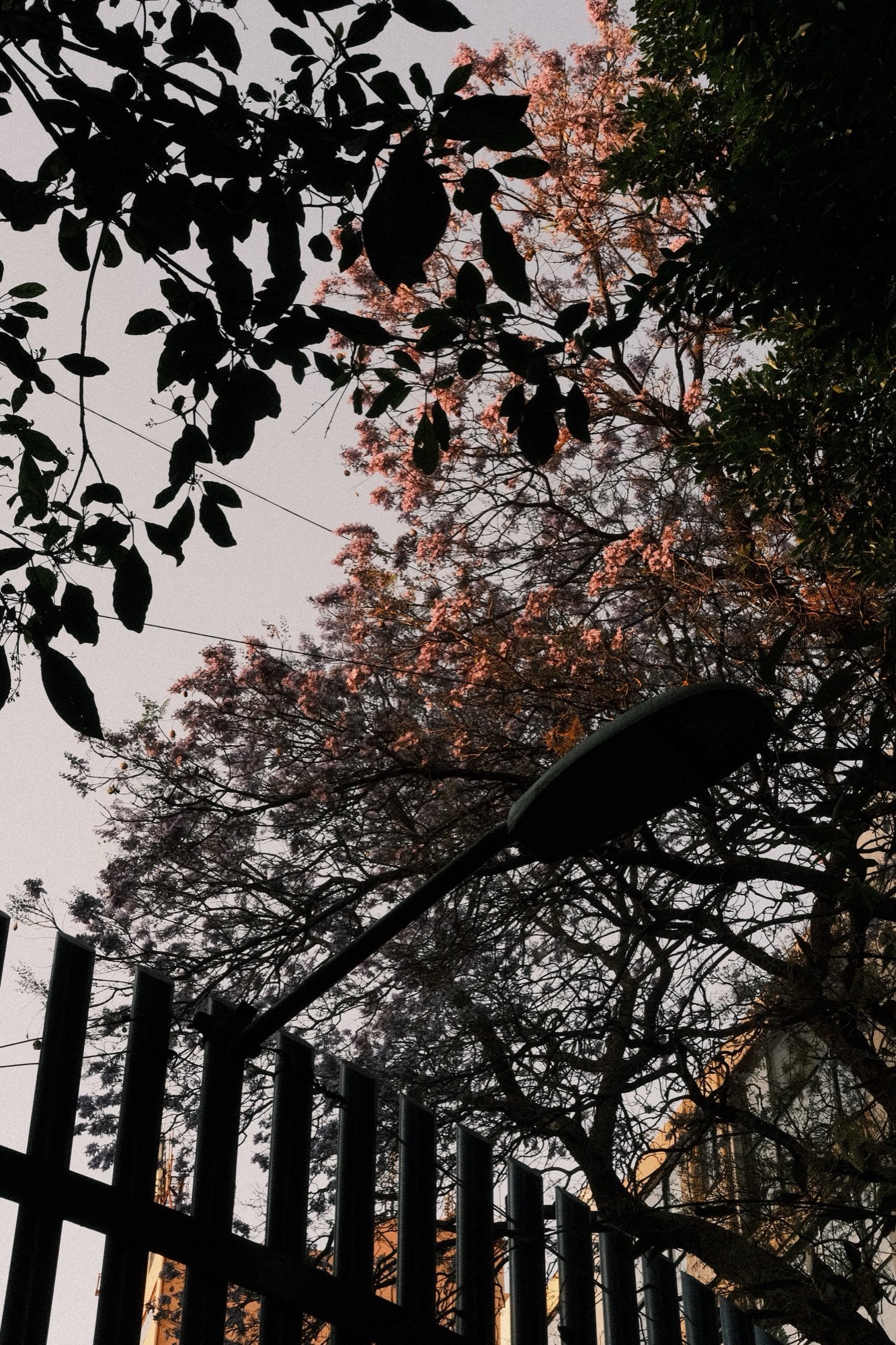 Dusk, Mexico City, 2