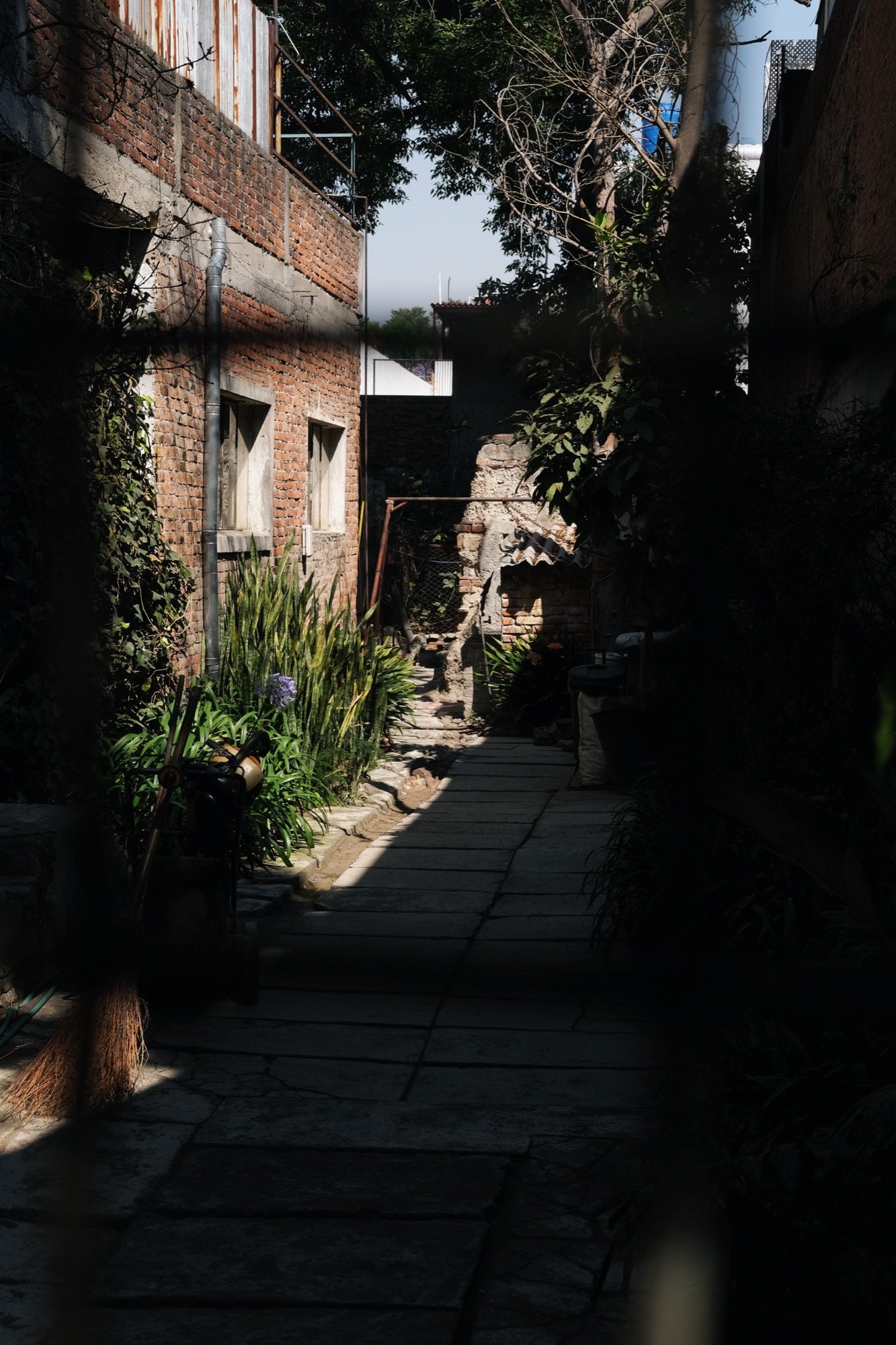 Inside, Mexico City, 4