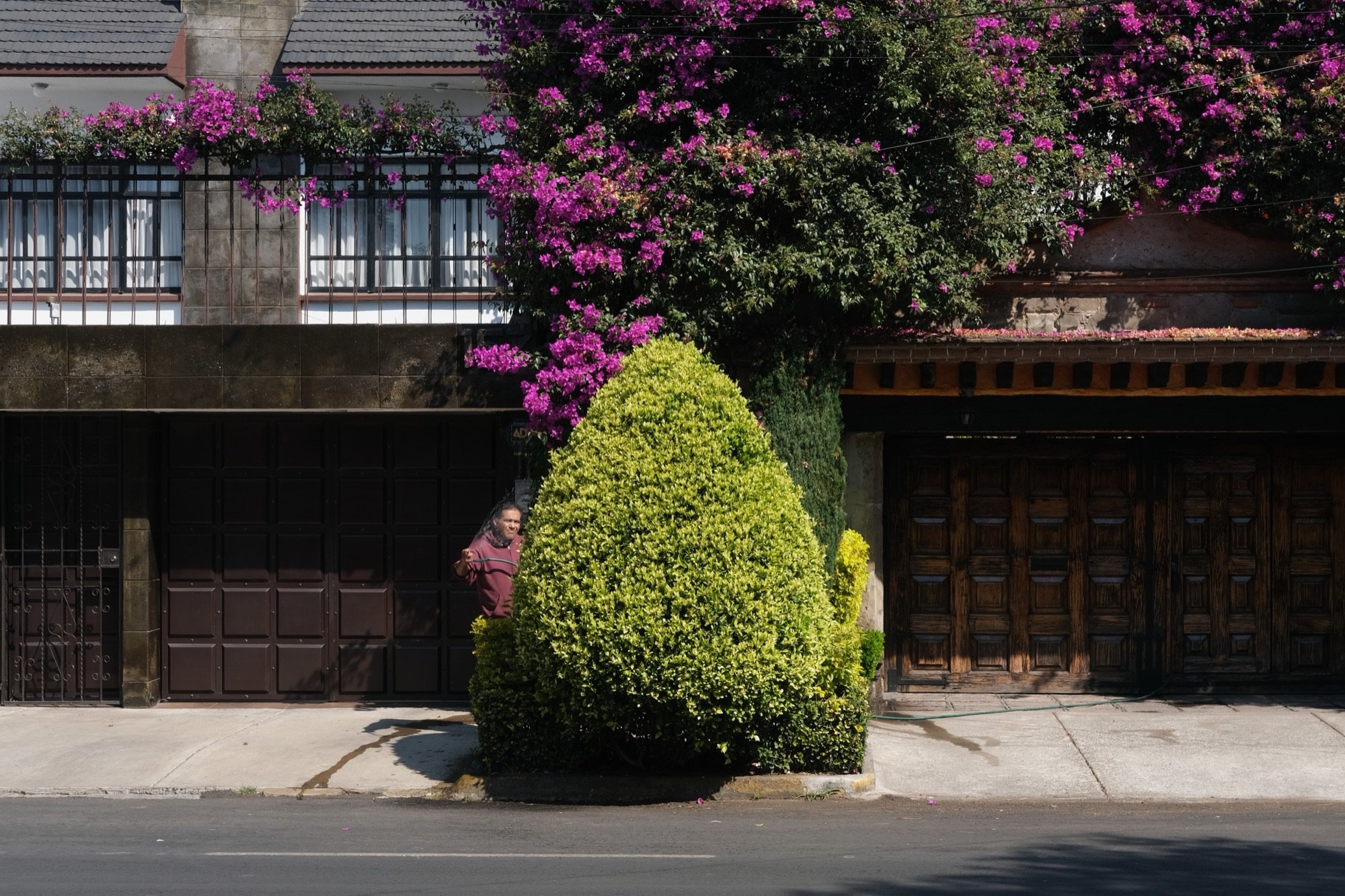 People, Mexico City, 7