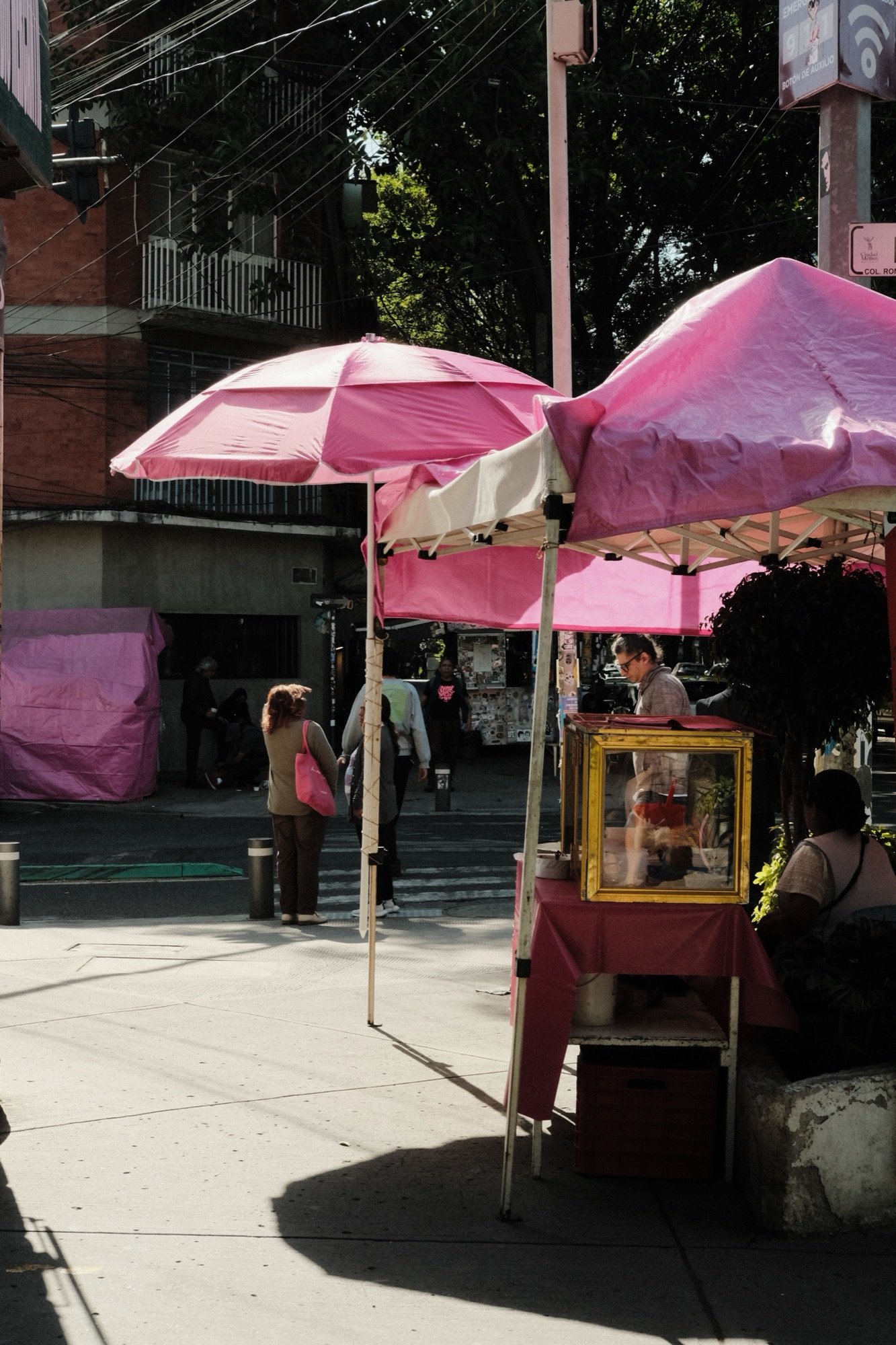Pink, Mexico City, 1