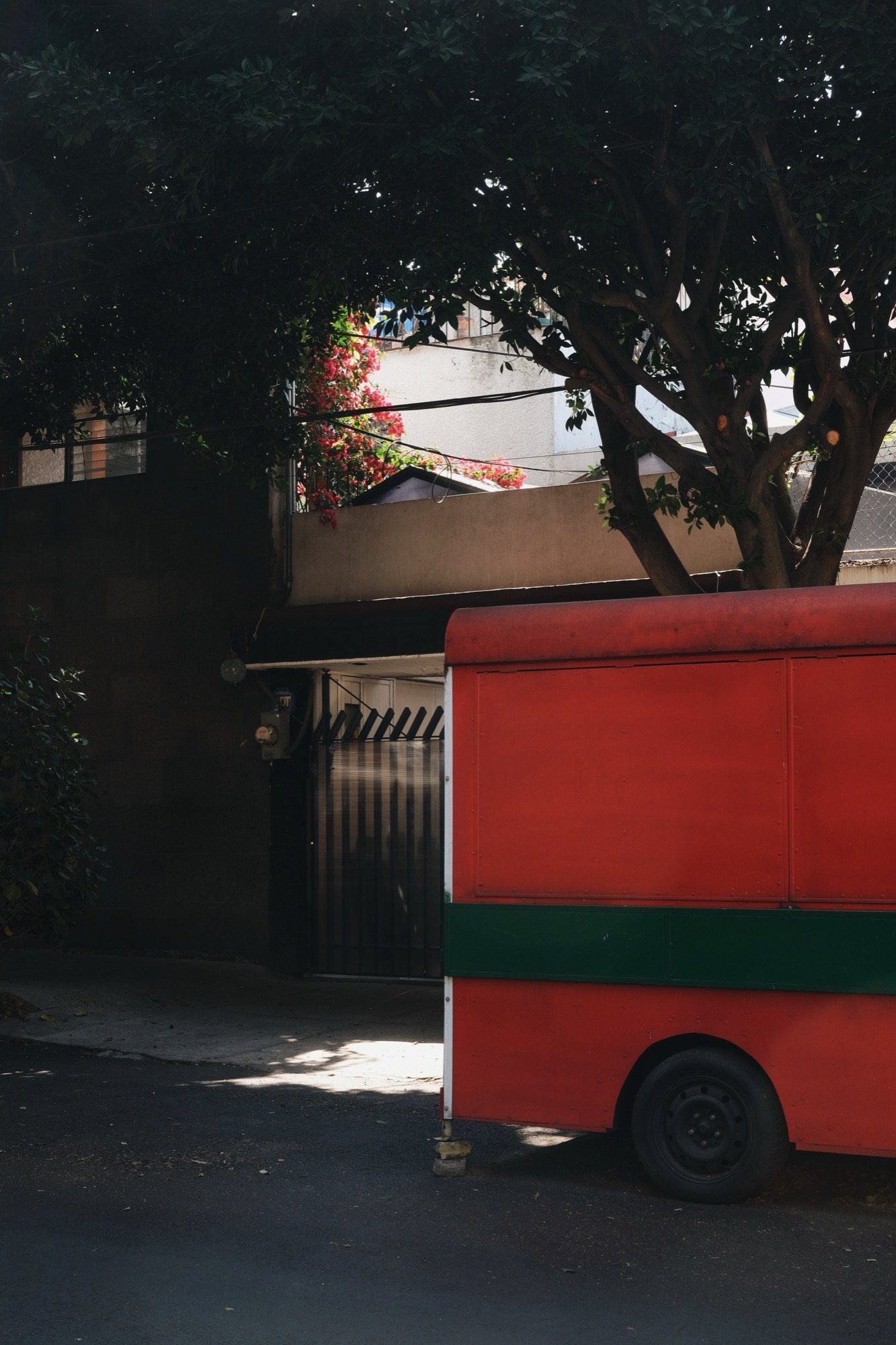 Red, Mexico City, 7