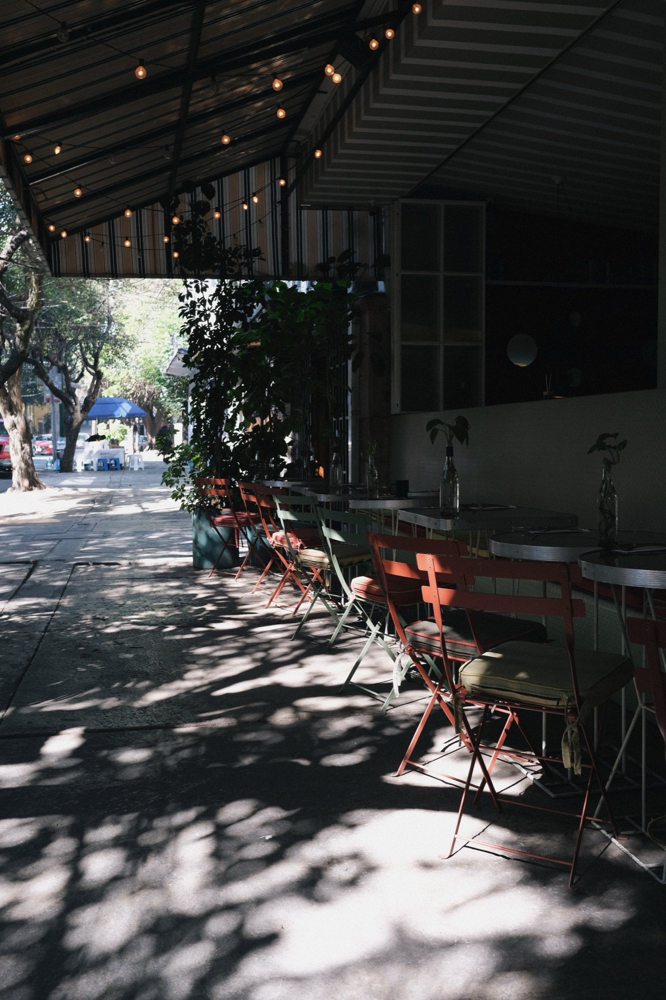 Sunlight, Mexico City, 3