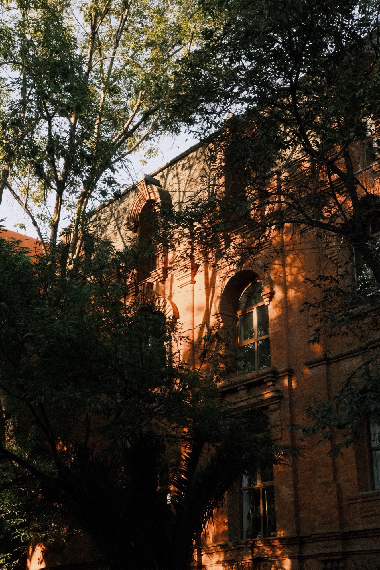 Sunlight, Mexico City, 9