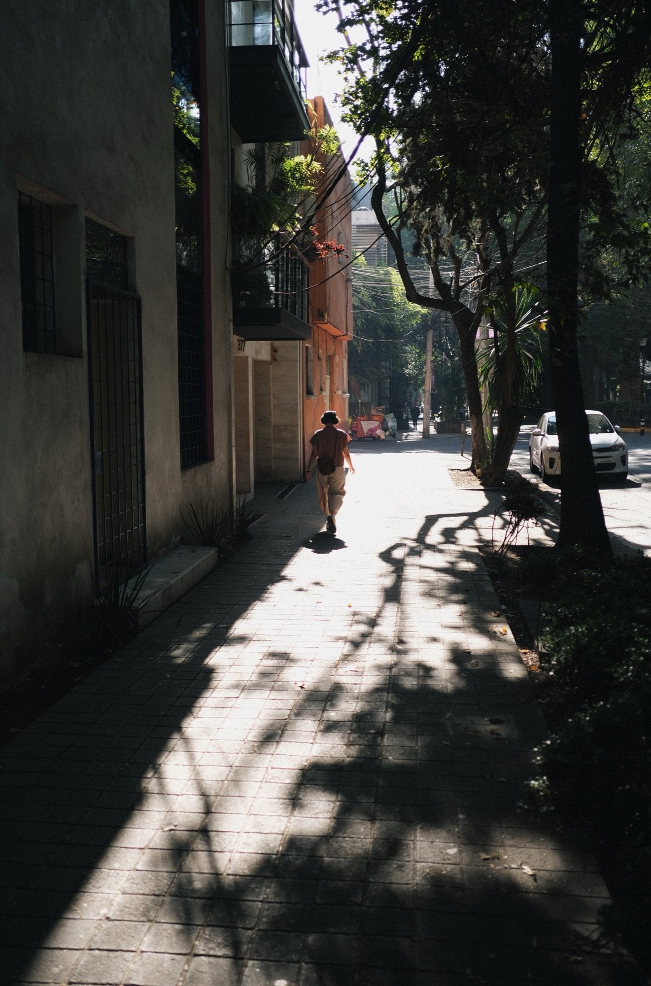 Sunlight, Mexico City, 7