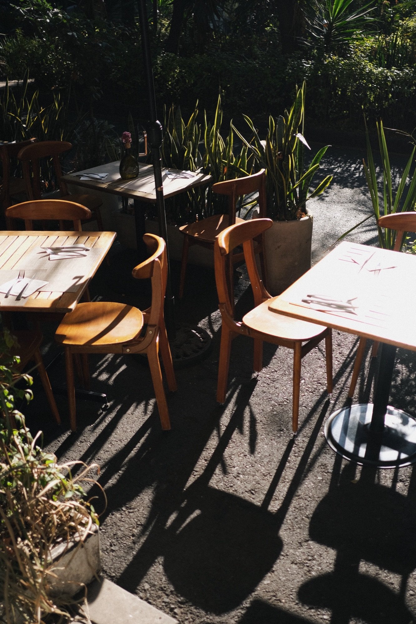 Sunlight, Mexico City, 8