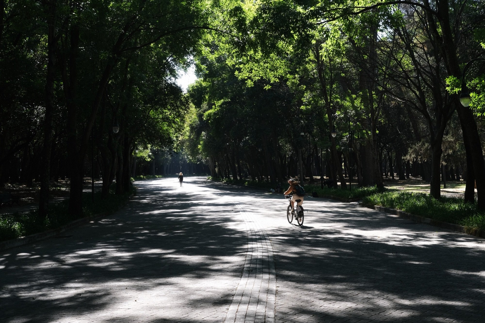 Sunlight, Mexico City, 5