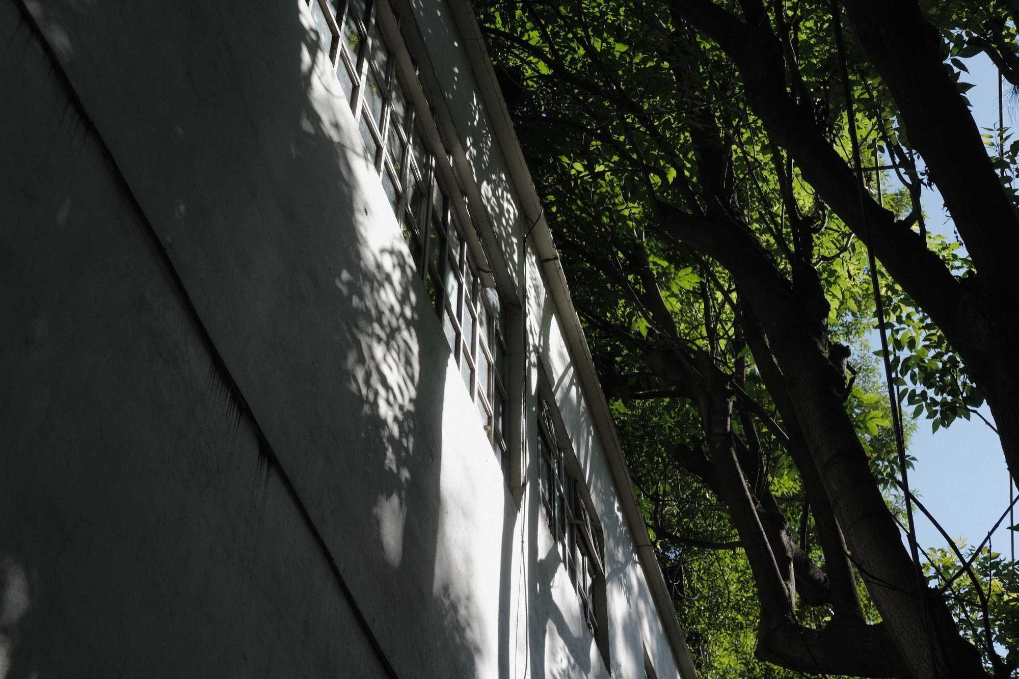 Sunlight, Mexico City, 11